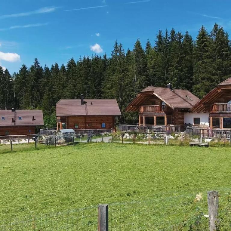 Alpenchalets Weissenbacher-Fuchsbau - Haus mit 2 Schlafzimmern - 19
