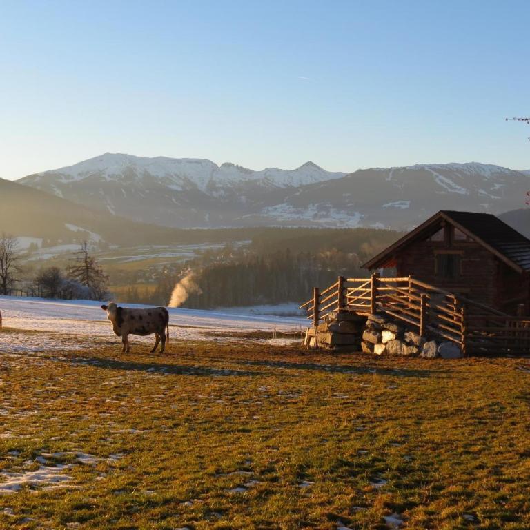 Alpenchalets Weissenbacher-Fuchsbau - Haus mit 2 Schlafzimmern - 23