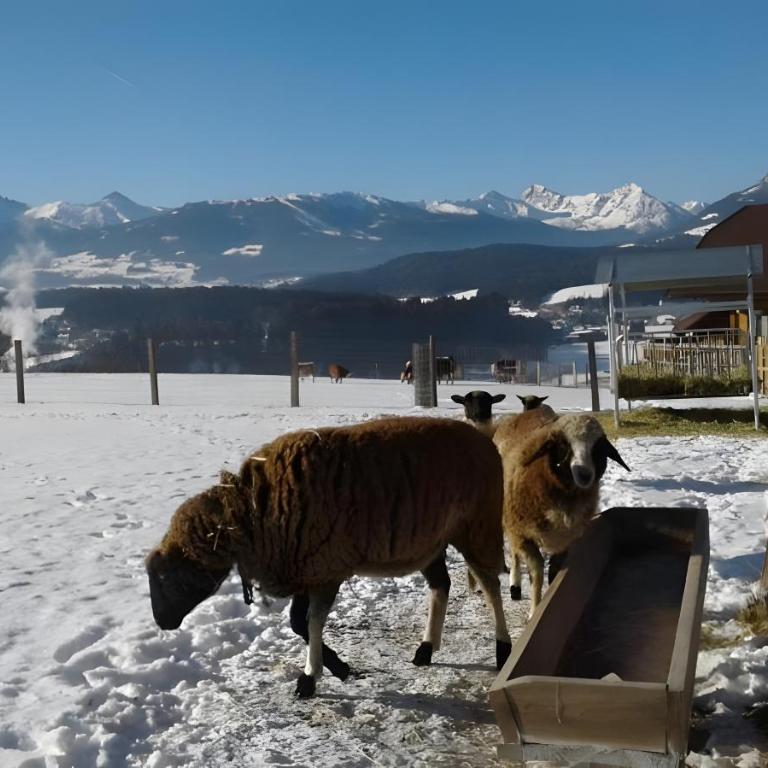 Alpenchalets Weissenbacher-Fuchsbau - Haus mit 2 Schlafzimmern - 25