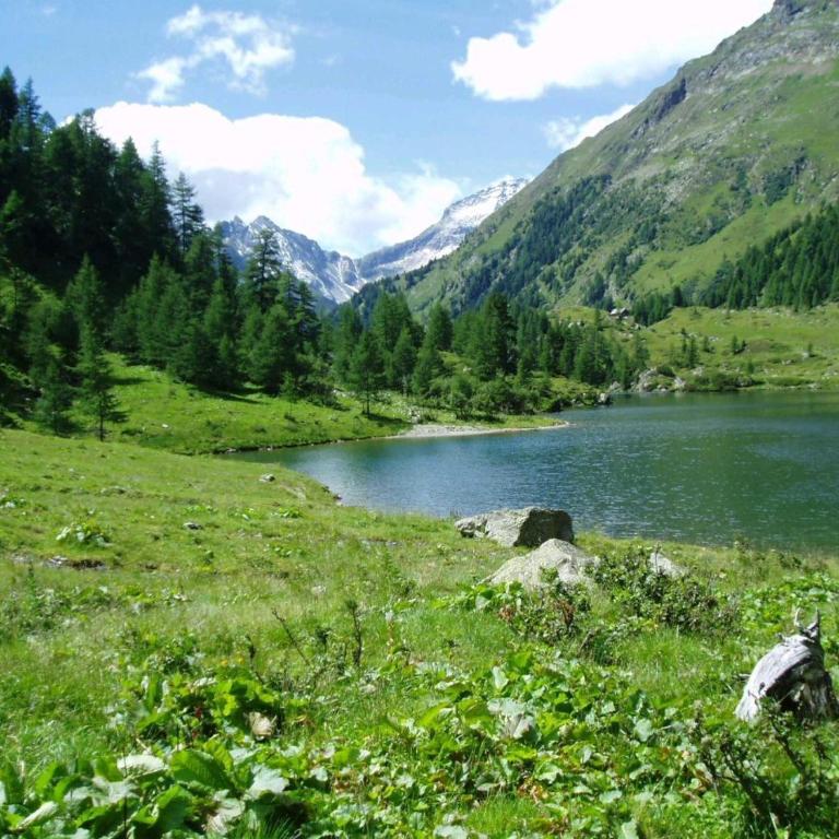 Alpenchalets Weissenbacher-Fuchsbau - Haus mit 2 Schlafzimmern - 37