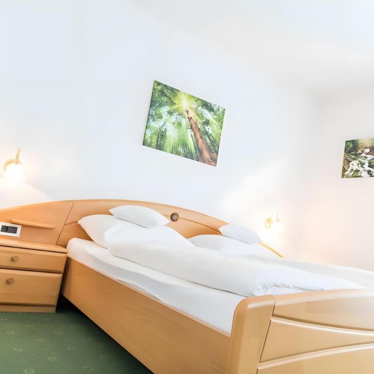 Hotel Klausthaler - Dreibettzimmer mit Dusche - 5