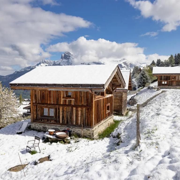 Mazot des aravis - Chalet 1 Chambre - 11