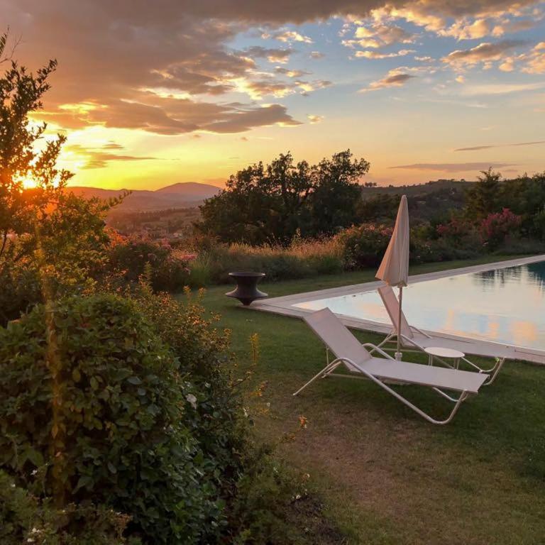 Amazing Assisi - Villa - 43