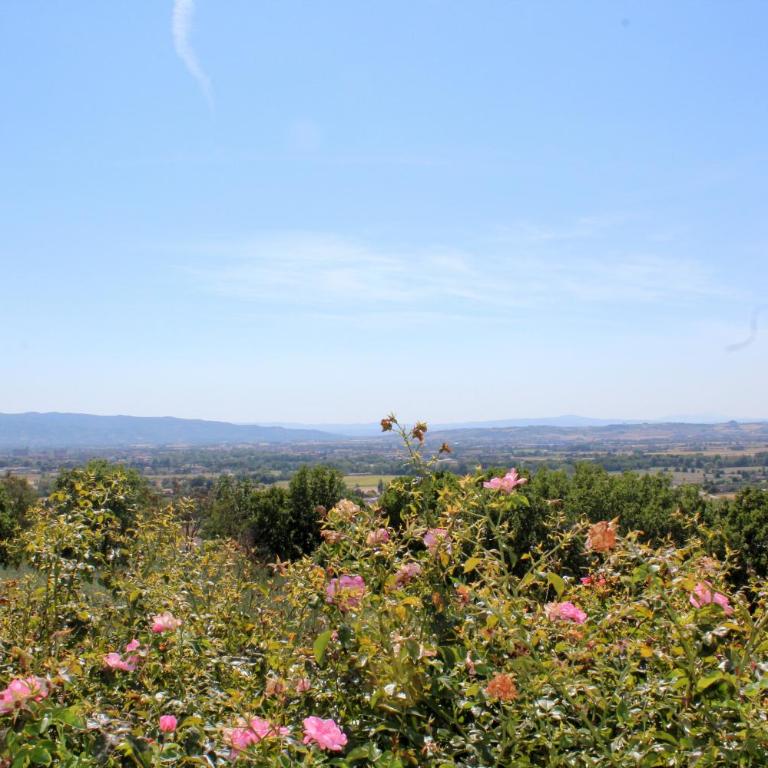 Amazing Assisi - Villa - 39