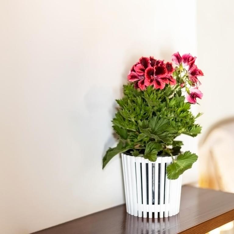 Valencia Canyamelar Beach Apartments - Appartement avec Terrasse - 24