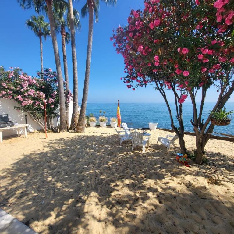Beachfront Villa - Villa con vistas al mar - 44