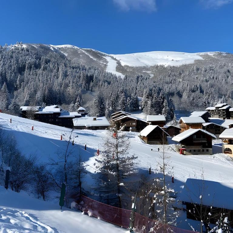 Appartement Valmorel - Superior Apartment mit 1 Schlafzimmer und Balkon - 25