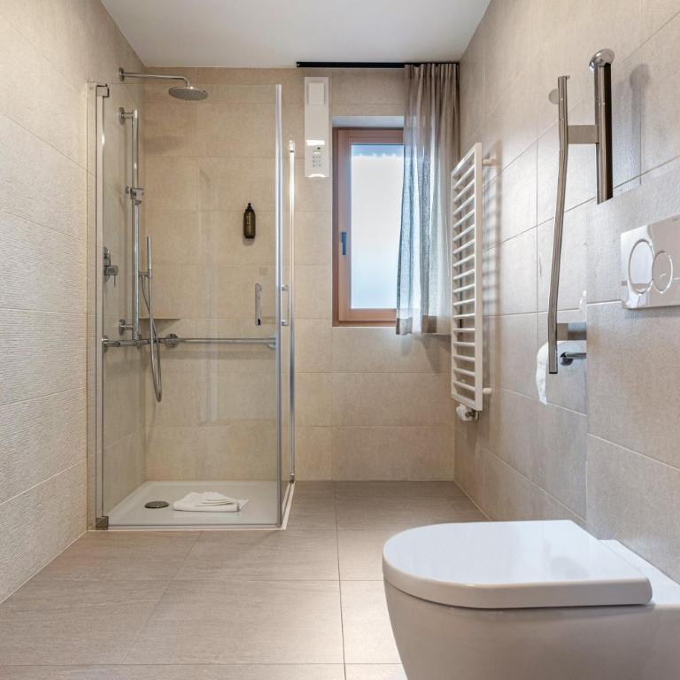 Schartneralm Birke - Appartamento Superior con Sauna - 20