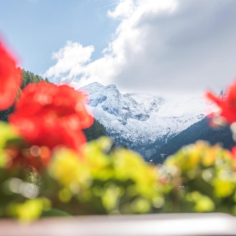 Alpenblick Nr 5 - Appartamento Superior con 1 Camera da Letto e Balcone - 3