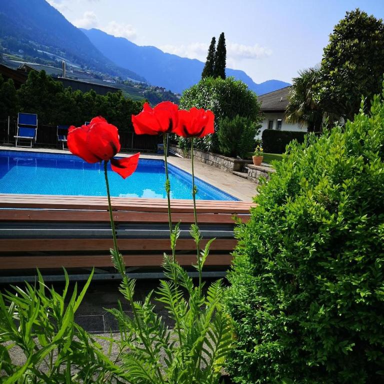 Kleon 4 - Appartamento Superior con 1 Camera da Letto e Balcone - 28