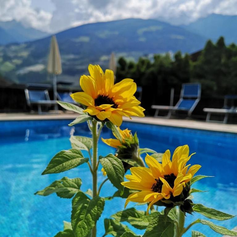 Kleon 4 - Appartamento Superior con 1 Camera da Letto e Balcone - 29