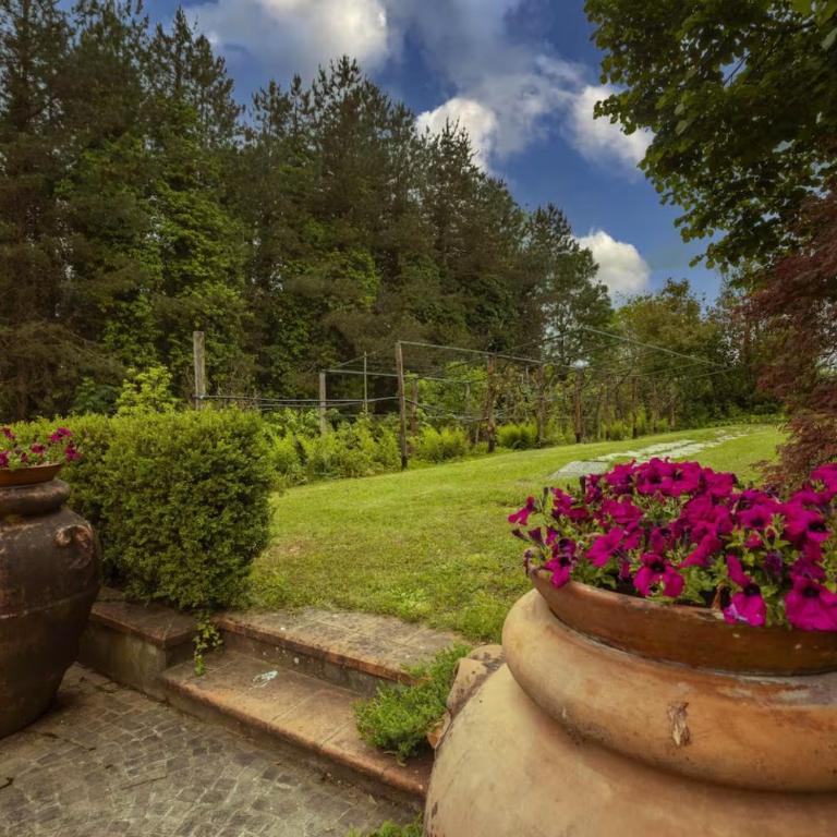 Villa Luciana - Villa - 19