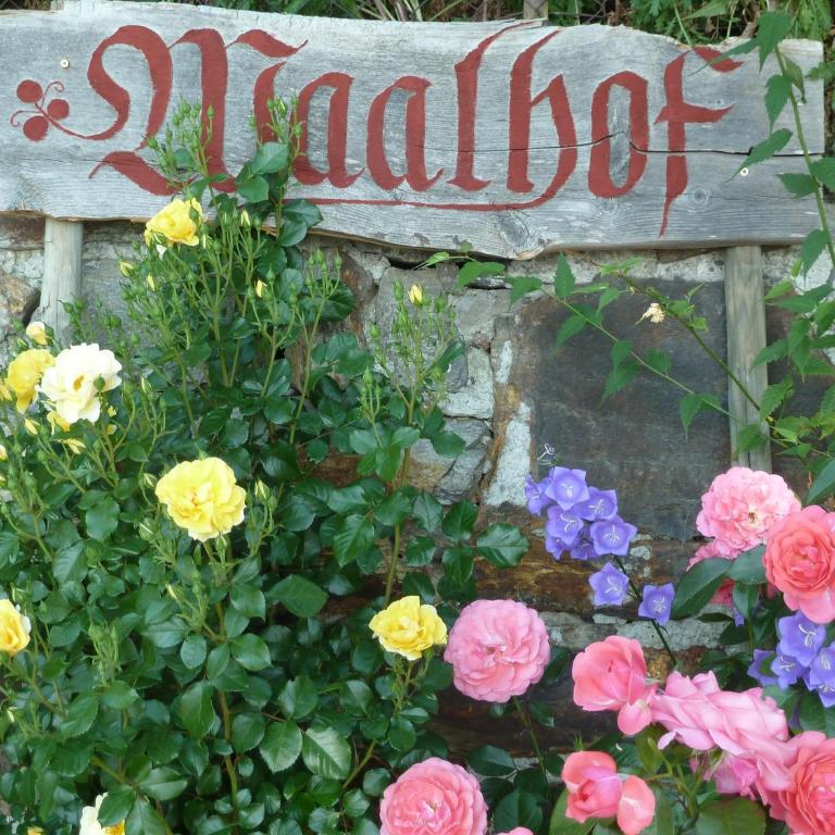 Waalhof Ferienwohnung Apfelblüte - Appartamento Premium con 3 Camere da Letto e Balcone - 21
