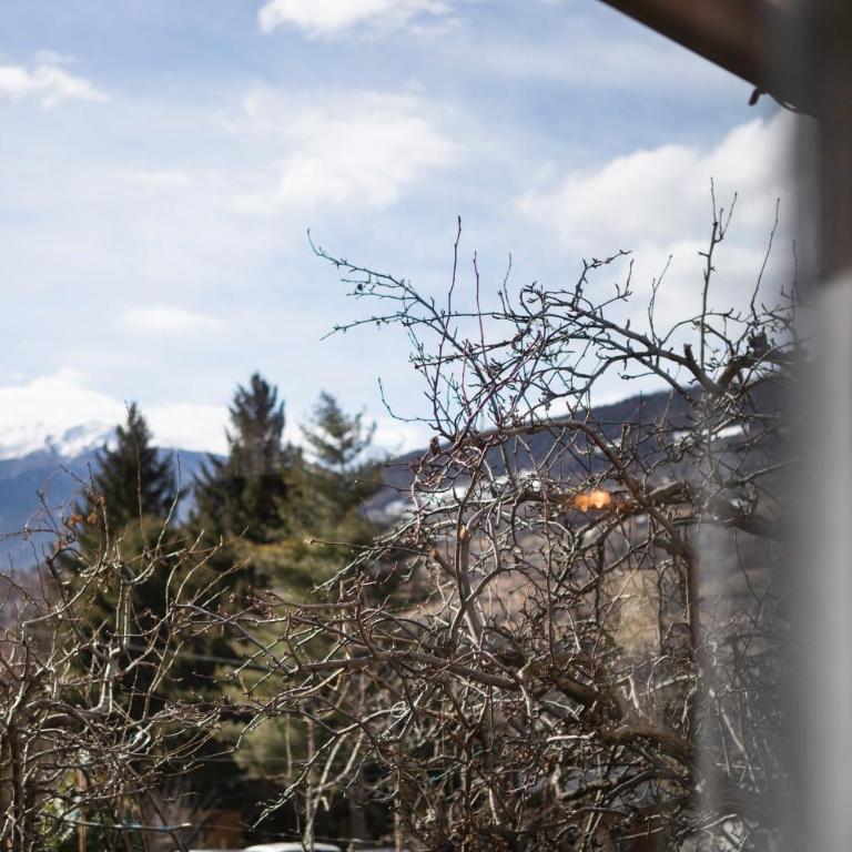 Mini House Valle d'Aosta - Appartamento con 1 Camera da Letto e Vista Giardino - 31