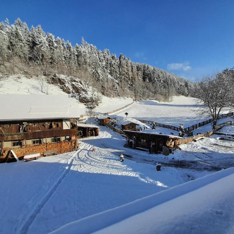 Oberwieserhof App 3 - Appartamento con 1 Camera da Letto e Vista Giardino - 30