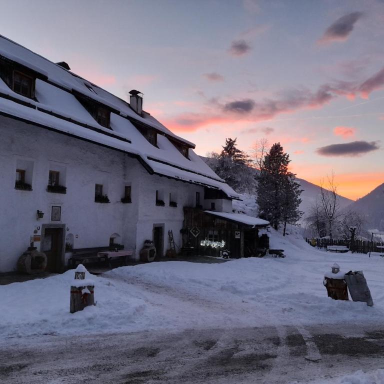 Oberwieserhof App 3 - Appartamento con 1 Camera da Letto e Vista Giardino - 29