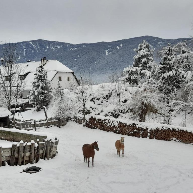 Oberwieserhof App 3 - Appartamento con 1 Camera da Letto e Vista Giardino - 31