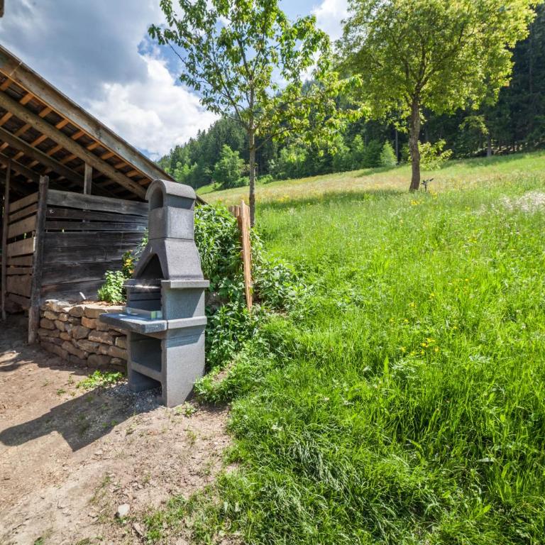 Schnitzers Ferienheisl - Chalet con 3 Camere da Letto - 25