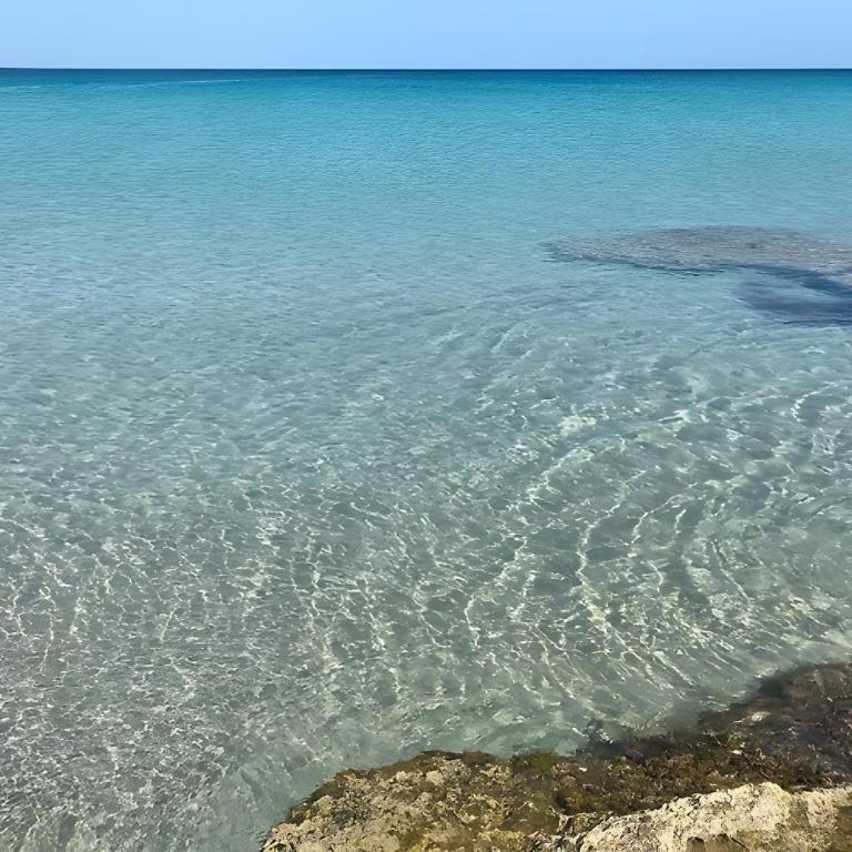 Blu Island Marzamemi - Appartamento Monolocale con Vista Mare - 26