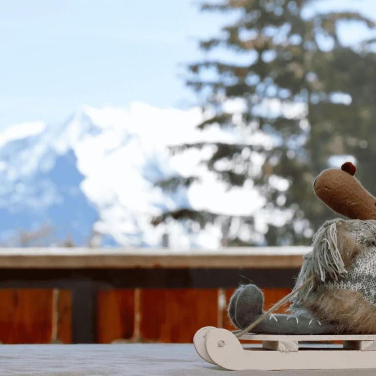 Chalet Crocus - Appartement 2 Chambres Deluxe avec Balcon - 21