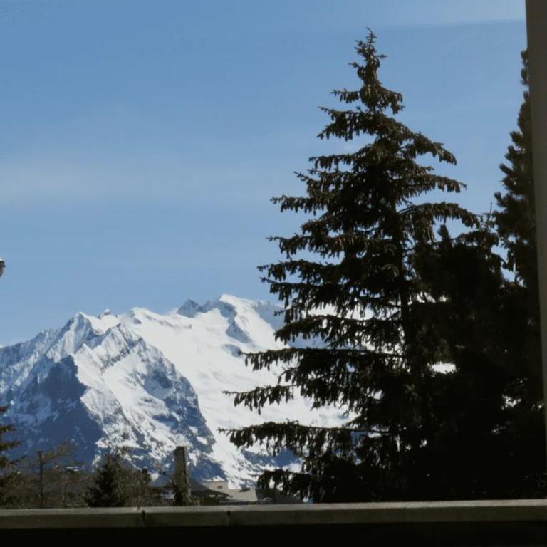Chalet Crocus - Appartement 2 Chambres Deluxe avec Balcon - 23
