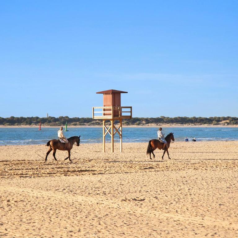 Sol y mar - Apartamento Deluxe de 2 dormitorios con balcón - 29