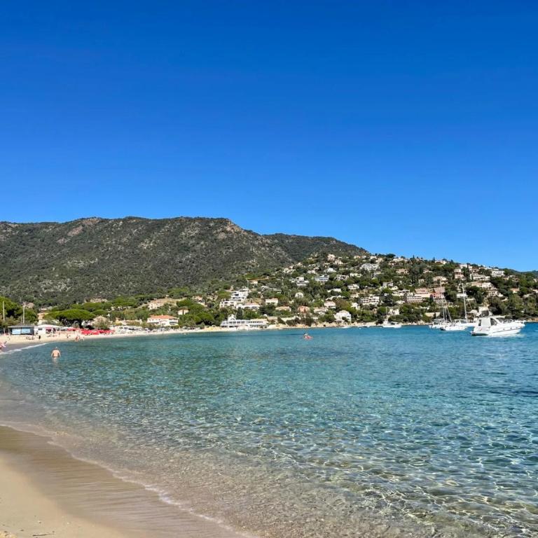 Studio Saint Clair pieds dans l'eau - Estudio con terraza - 21