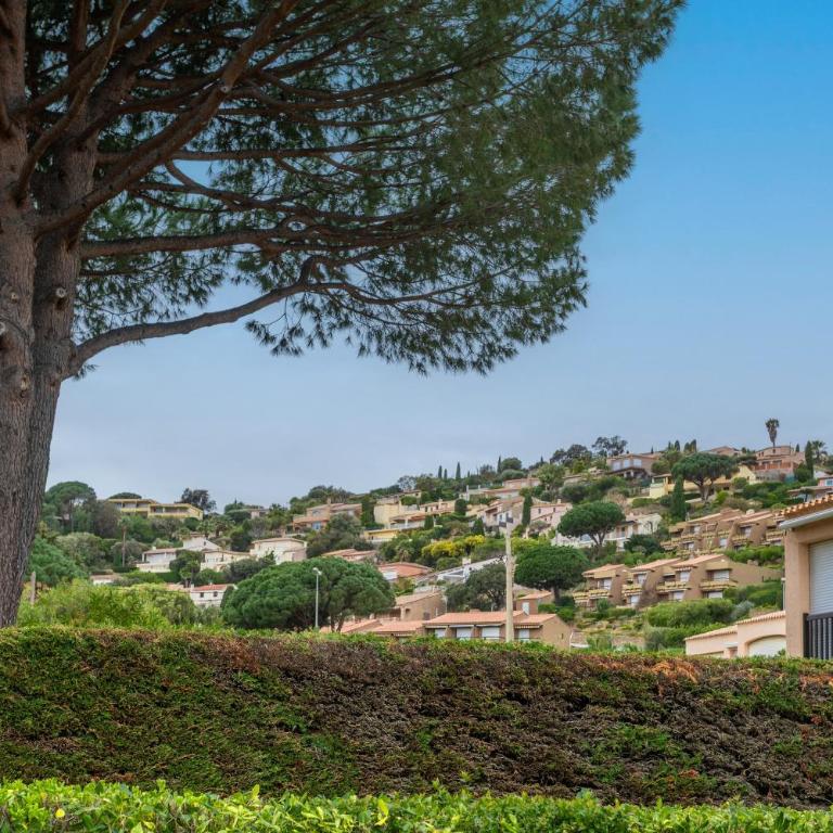 Studio Saint Clair pieds dans l'eau - Estudio con terraza - 16