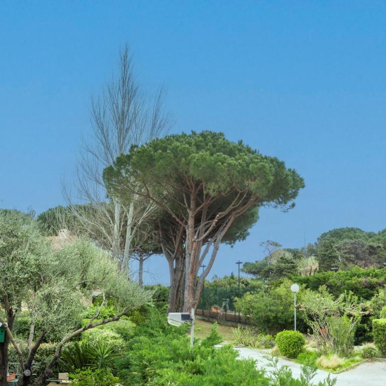 Studio Saint Clair pieds dans l'eau - Estudio con terraza - 20