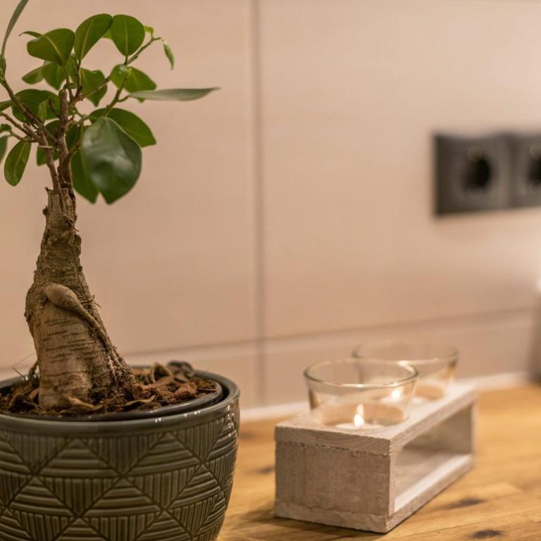 Ferienwohnung am Mühlbachl - Deluxe-Apartment mit 2 Schlafzimmern und Gartenblick - 18