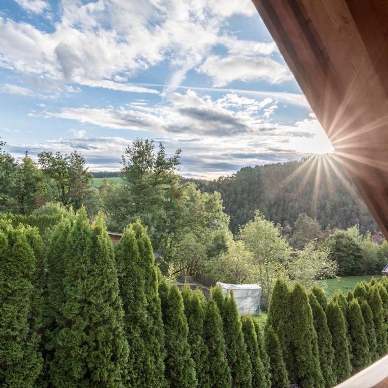 Residence Skutial App Schlern - Superior Apartment mit 1 Schlafzimmer und Balkon - 24