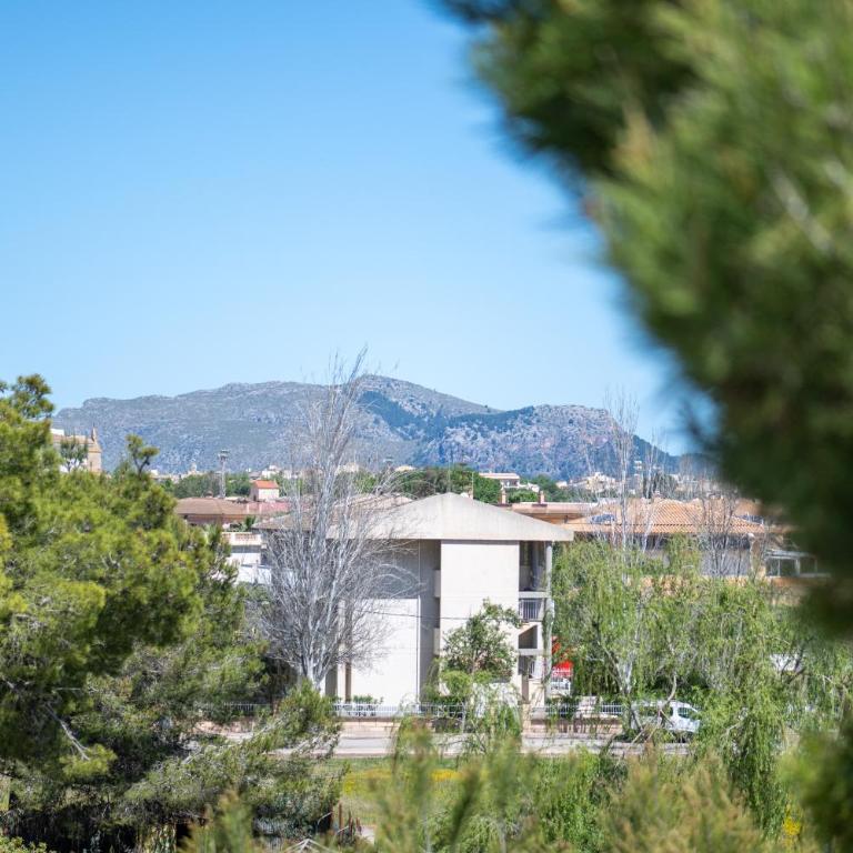 Apartamento Minerva - Apartamento de 3 dormitorios y vistas al mar - 23
