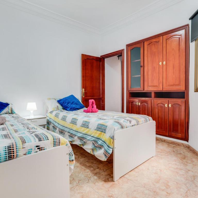 Tenerife2 - Piso dos dormitorios Santa Cruz centro - Apartamento Superior de 2 dormitorios - 13