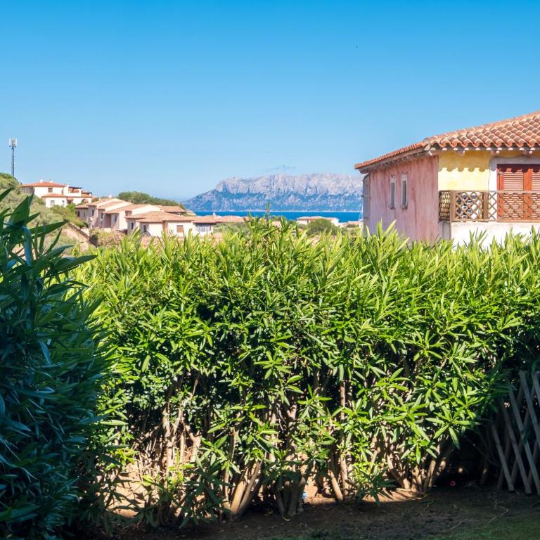 Belvedere 18 - 3 shared pool - Appartamento Monolocale con Vista Mare - 17