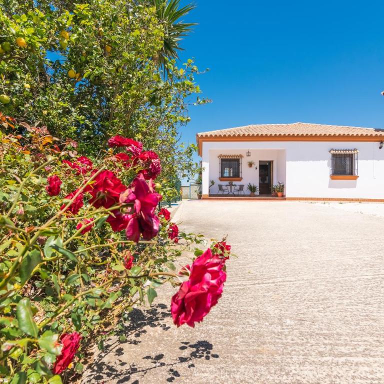 Familia Amaya Gonzalez - Apartamento con terraza - 31