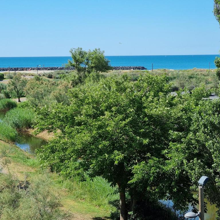 Cap d'Agde - Primavera - 2 - Appartamento Monolocale con Vista Mare - 8