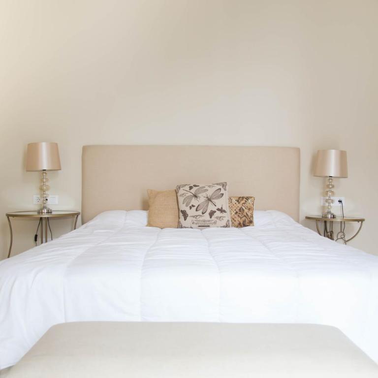 Puerta Principe Luxury Apartments - Apartamento Ático - 15