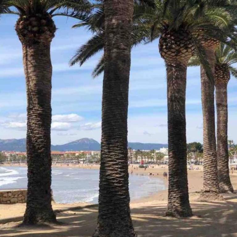 Samitier - Two-Bedroom Deluxe Apartment with Ocean View - 24