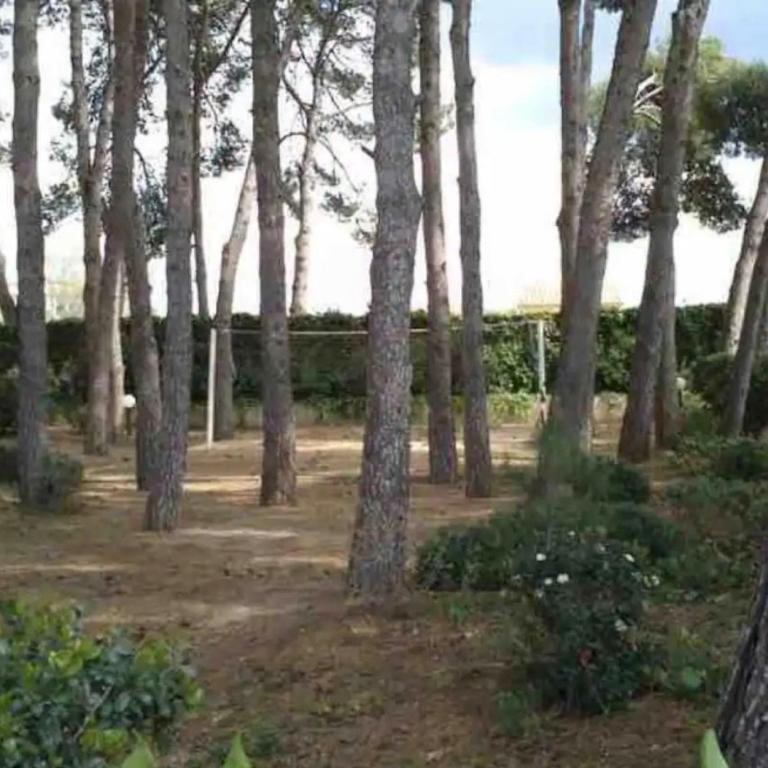 Samitier - Two-Bedroom Deluxe Apartment with Ocean View - 20