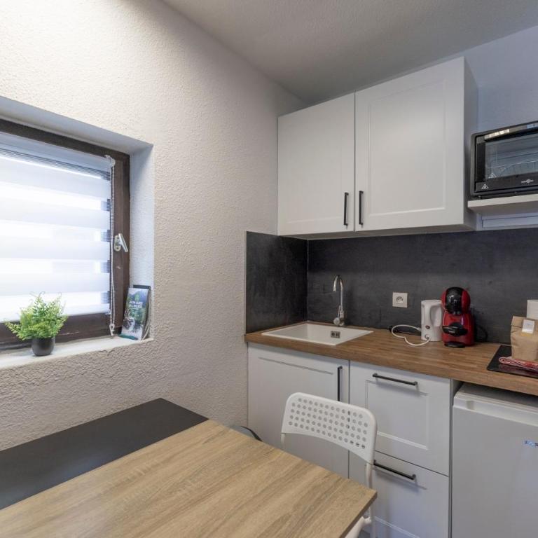 Cozy Apartment In Morillon - Appartement 1 Chambre Supérieur avec Balcon - 5