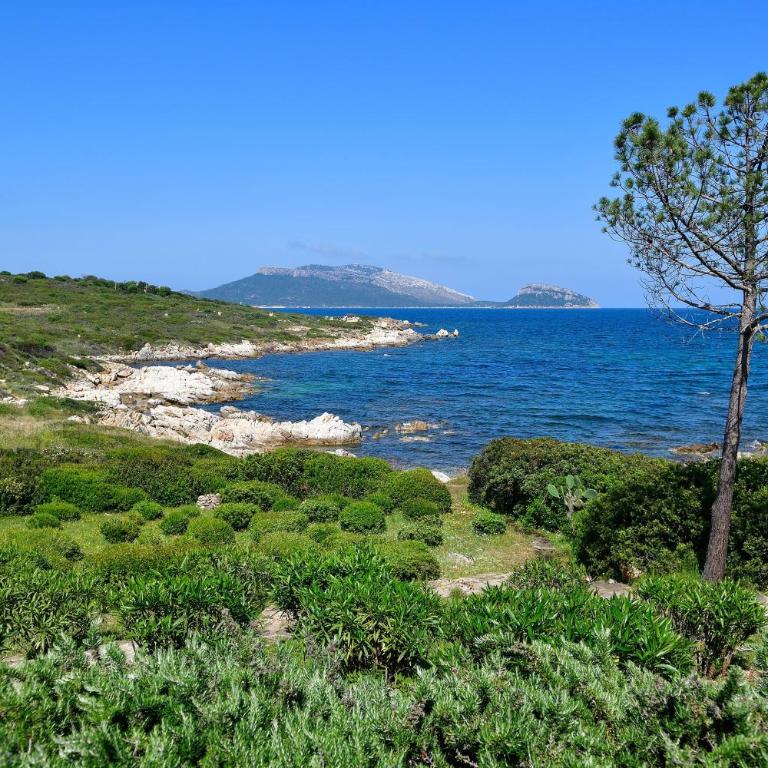 Villa Nodu Pianu Bianca - Villa con Vista Mare - 18