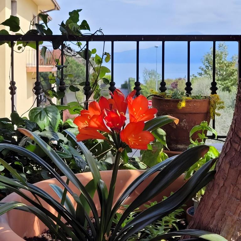 Lakeview Dream Veranda Sul Lago - One-Bedroom House - 19