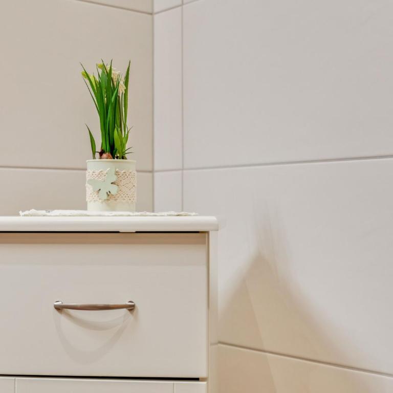 Luxurious apartment with sauna in Königsleiten - Appartamento con 2 Camere da Letto - 11