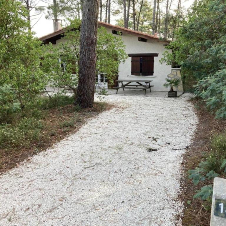 Piraillan Foret - Réf 2064 - Maison 3 Chambres - 2