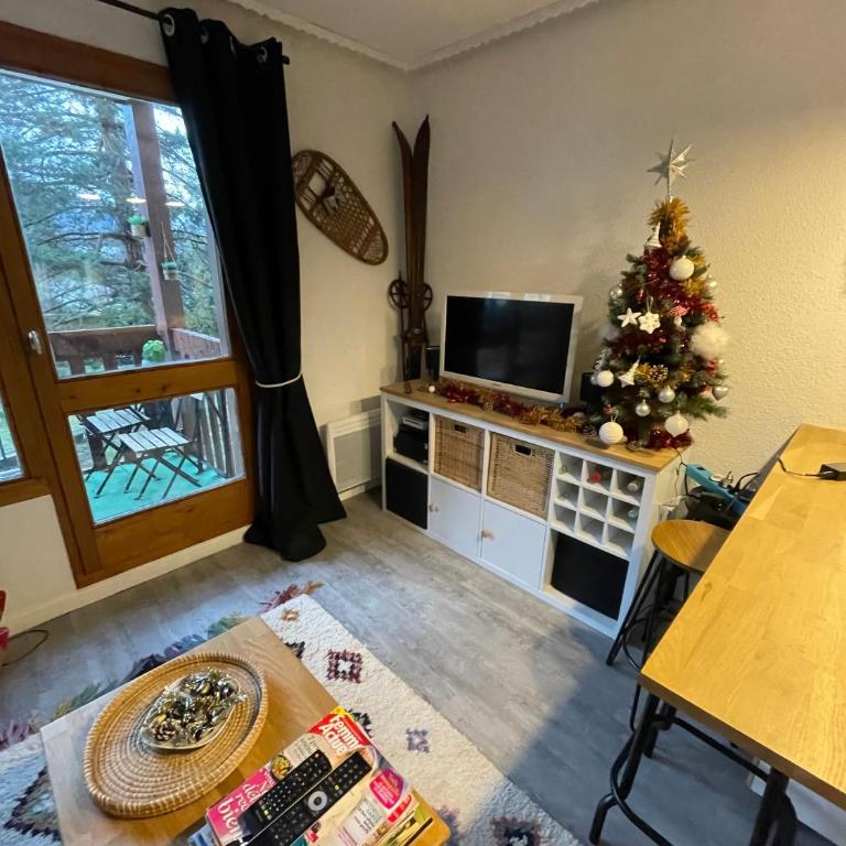 Le Solaret - Studio - Vue sur Montagne - 4