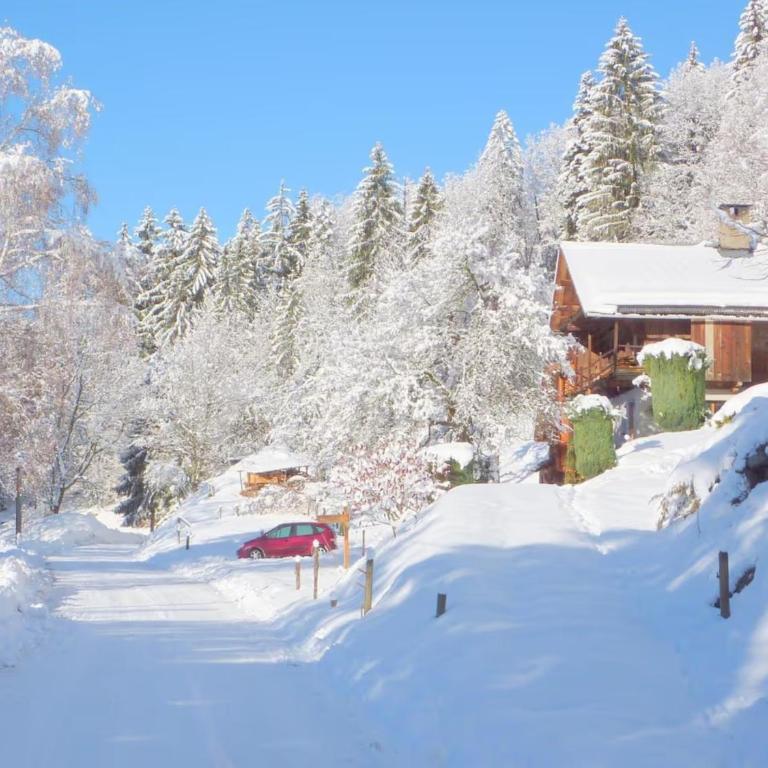 Chalet de Marie proche des Saisies - Chalet - 2