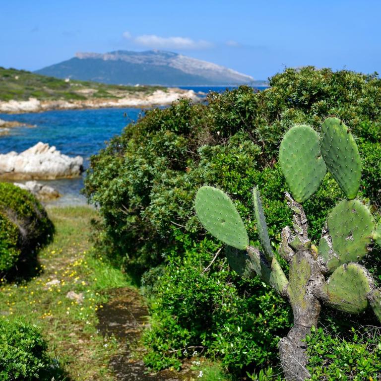 Villa Nodu Pianu Verde - Villa con Vista Mare - 5