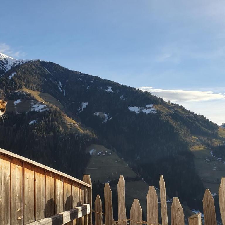 Tratterhof Apt Eidechsspitze - Appartamento Deluxe con 2 Camere da Letto e Vista Giardino - 17