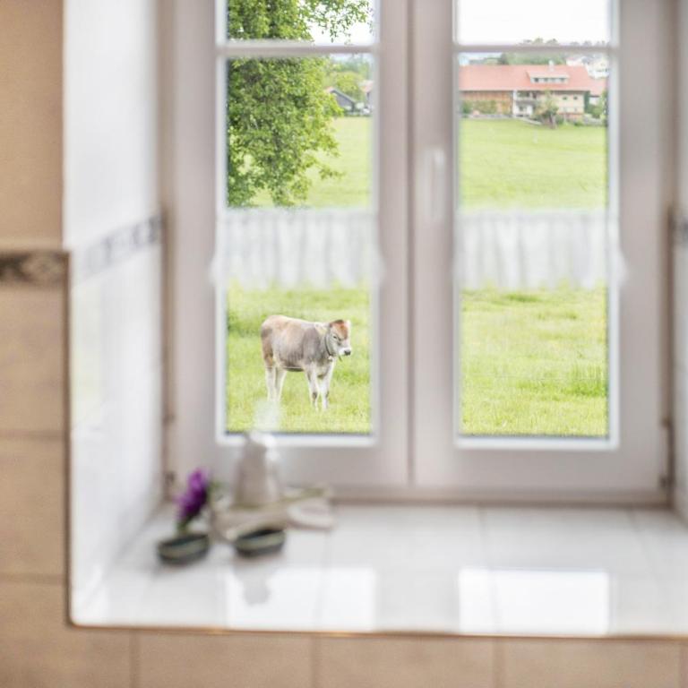 Haus Moritz - Apartment mit 1 Schlafzimmer und Gartenblick - 18