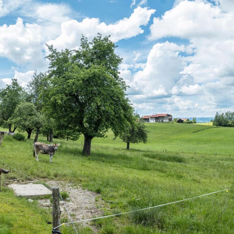 Haus Moritz - Apartment mit 1 Schlafzimmer und Gartenblick - 26